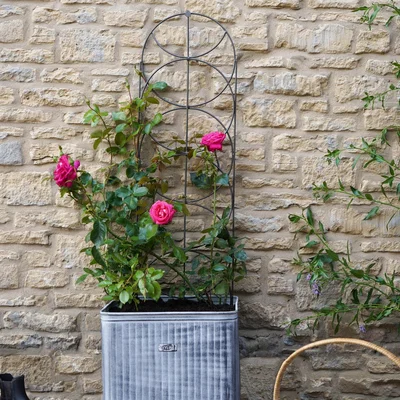 Dunelm Outdoor Cylinder Trellis Zinc