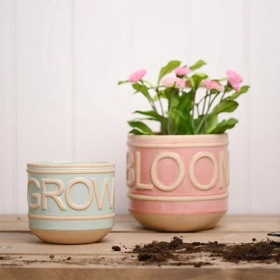 Dunelm Country Living Set of 2 Ceramic Bloom and Grow Plant Pots