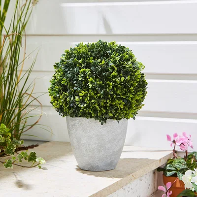 Dunelm Round Topiary Tree in Grey Plant Pot