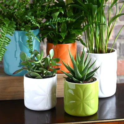 Dunelm Navigate Carnaby Ceramic Embossed Plant Pot