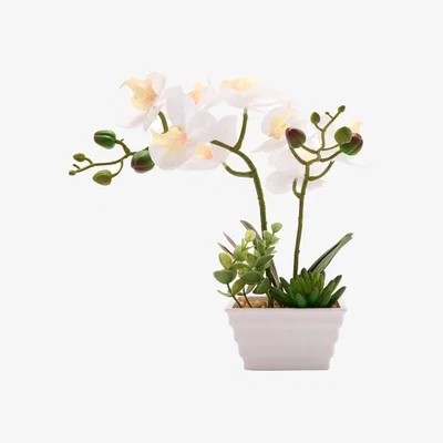 Dunelm Country Living Artificial White Orchid in Ridged Square Plant Pot