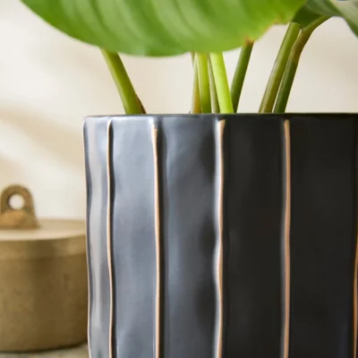 Dunelm Black & Brown Striped Ceramic Plant Pot