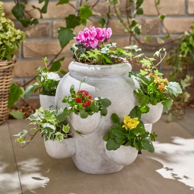 Dunelm Strawberry Plant Pot