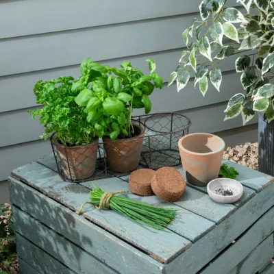 Dunelm Terracotta and Wire Windowsill Herb Planter MultiColoured