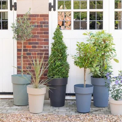 Dunelm Cleo High Planter