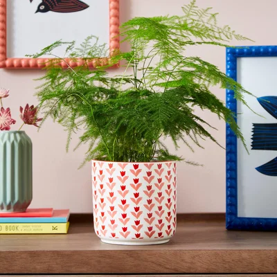 Dunelm Red Tulips Plant Pot Red