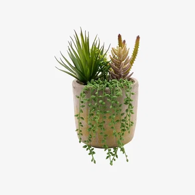 Dunelm Country Living Artificial Trailing Succulents in Stoneware Plant Pot