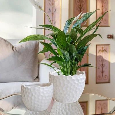Dunelm Kew Botanical White Textured Plant Pot White
