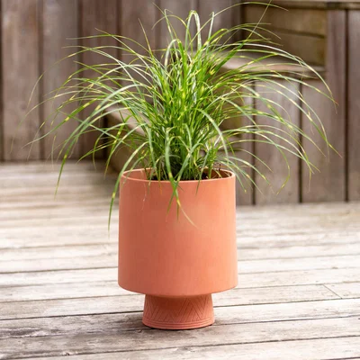 Dunelm Terracotta Footed Pot Orange