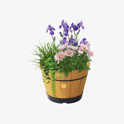Dunelm VegTrug Medium Build a Barrel Kit Natural