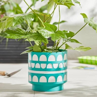 Dunelm Elements Small Green Patterned Planter Green