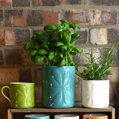 Dunelm Navigate Carnaby Ceramic Embossed Plant Pot