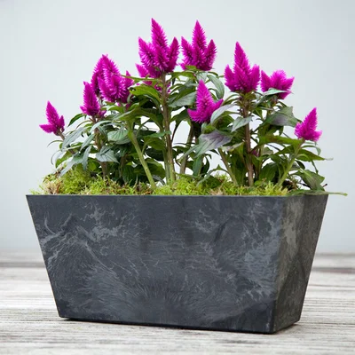 Dunelm Ella Black Balcony Trough Black