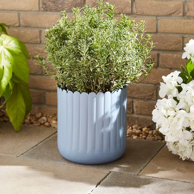 Dunelm Scalloped Metal Plant Pot, Ashley Blue Ashley Blue