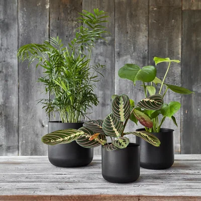 Dunelm Lisbon Plant Pot Anthracite