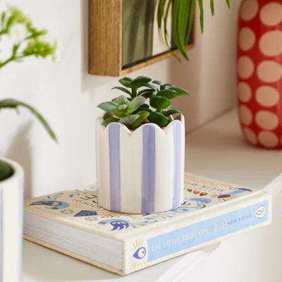 Dunelm Artificial Succulent in Striped Lilac Plant Pot