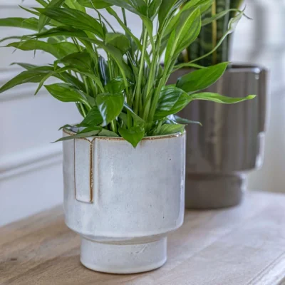 Dunelm Aries Glazed Handles Planter White