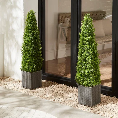 Dunelm Set of 2 Artificial Boxwood Cone Shaped Trees in Woven Plant Pots