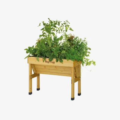 Dunelm VegTrug Small Wall Hugger Natural