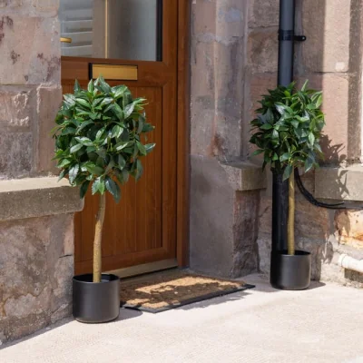 Dunelm Artificial Bay Tree in Black Plastic Plant Pot