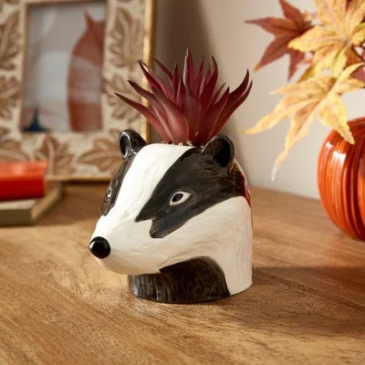 Dunelm Artificial Succulent in Ceramic Badger Plant Pot