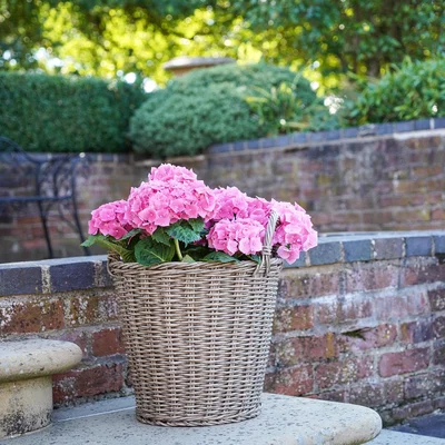 Dunelm Polyrattan Lined Basket Planter Natural