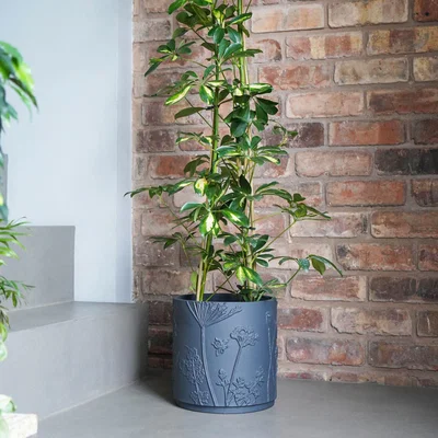 Dunelm Kew Stoneware Meadow Plant Pot Grey