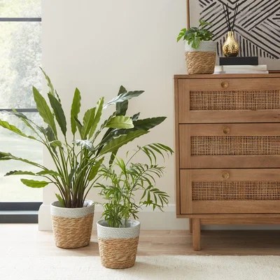 Dunelm Set of 3 Woven Plant Pots Grey