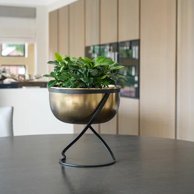 Dunelm Kengsington Brass Metal Round Plant Pot With Stand Brass