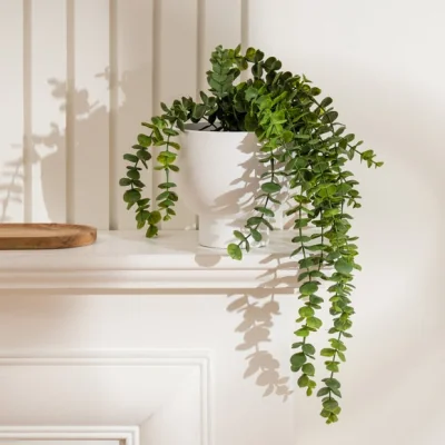 Dunelm Artificial Trailing Eucalyptus in Rustic Footed Plant Pot
