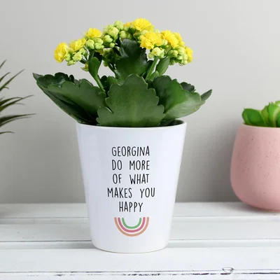 Dunelm Personalised Rainbow Plant Pot White