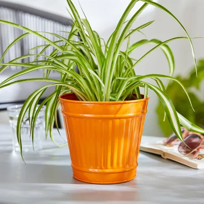 Dunelm Small Metal Plant Pot Tangerine (Orange)