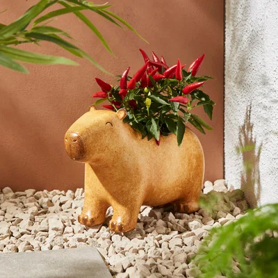 Dunelm Resin Capybara Plant Pot