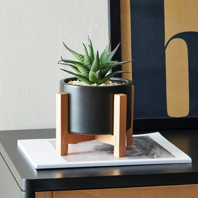 Dunelm Black Pot on a Wooden Stand with Plant Black