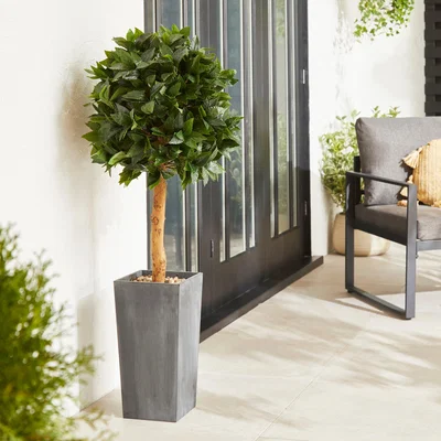 Dunelm Bay Tree Ball 120cm with Pot Green