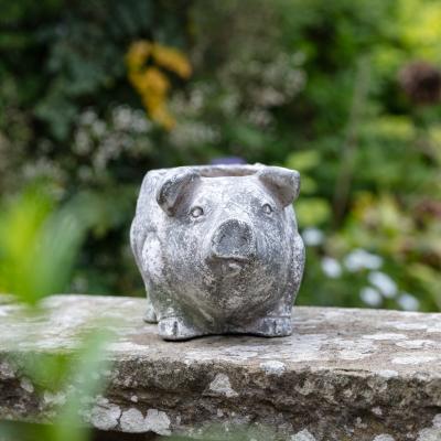 Dunelm Allesley Small Cement Plant Pot Antique White