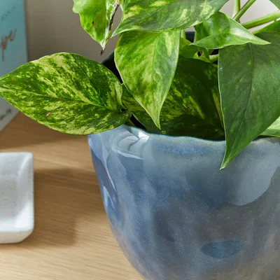 Dunelm Reactive Glaze Ceramic Plant Pot Ashley Blue