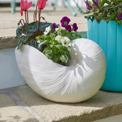 Dunelm Resin Off White Nautilus Shell Plant Pot