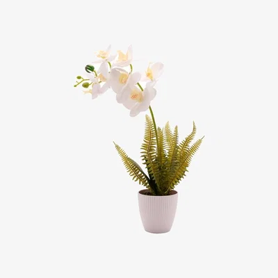Dunelm Country Living Large Artificial White Orchid in Ribbed Plant Pot