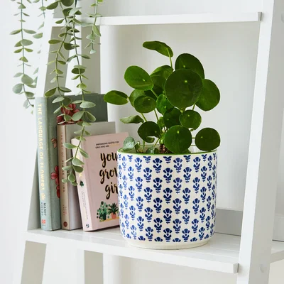Dunelm Bonnie Plant Pot Blue