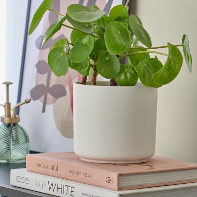 Dunelm White Ceramic Plant Pot White