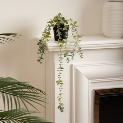 Dunelm Artificial Long Trailing Eucalyptus in Black Plant Pot