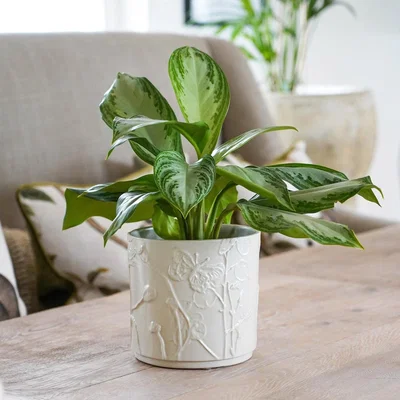 Dunelm Kew Stoneware Meadow Plant Pot Ivory
