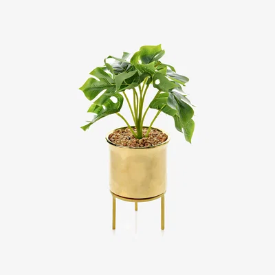 Dunelm Hestia Artifical Monstera in Gold Footed Plant Pot