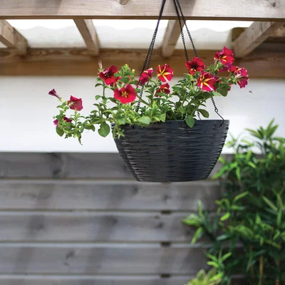 Dunelm Plant Avenue Windermere Hanging Basket Grey