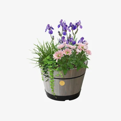 Dunelm VegTrug Medium Build a Barrel Kit Grey