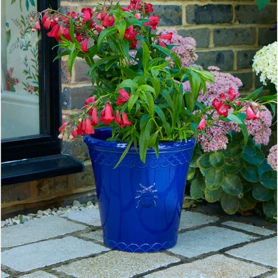 Dunelm Sophie Robinson Large Cobalt Blue Stoneware Plant Pot