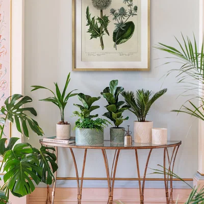 Dunelm Kew Stoneware Sago Palm Plant Pot Ivory