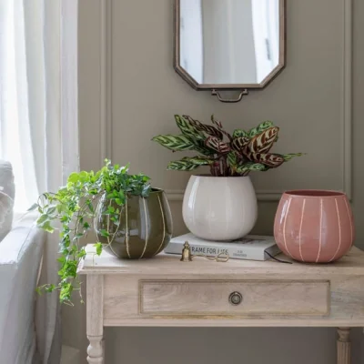 Dunelm Nova Wax Relief Planter Rose