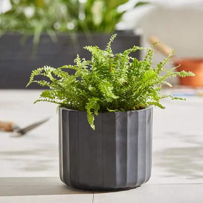 Dunelm Small Fibre Clay Black Vertical Ribbed Pot Black
